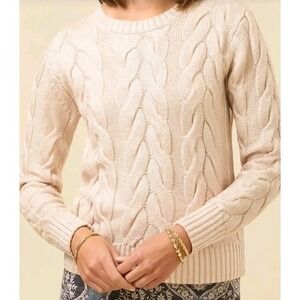 NWT Spartina Florence Crewneck Sweater Champagne Foil L Winter Quiet Luxury